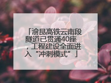 渝昆高铁云南段隧道已贯通40座，工程建设全面进入“冲刺模式”