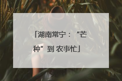 湖南常宁：“芒种”到 农事忙