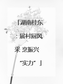 湖南桂东：展村厨风采 烹振兴“实力”