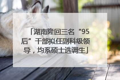 湖南隆回三名“95后”干部拟任副科级领导，均系硕士选调生