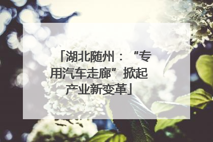 湖北随州：“专用汽车走廊”掀起产业新变革