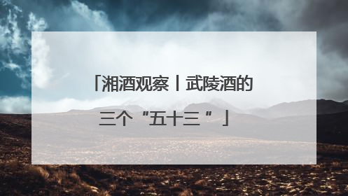 湘酒观察丨武陵酒的三个“五十三 ”