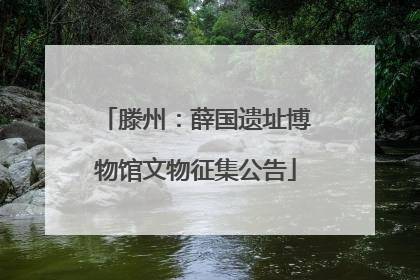 滕州：薛国遗址博物馆文物征集公告