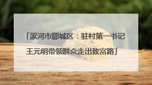 漯河市郾城区：驻村第一书记王元明带领群众走出致富路