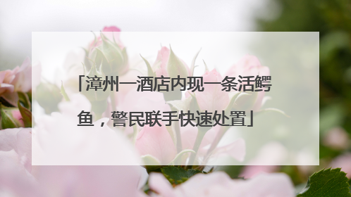 漳州一酒店内现一条活鳄鱼，警民联手快速处置