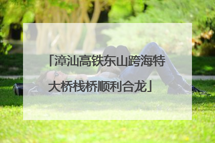 漳汕高铁东山跨海特大桥栈桥顺利合龙
