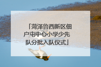 菏泽鲁西新区佃户屯中心小学少先队分批入队仪式