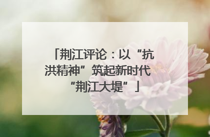 荆江评论：以“抗洪精神”筑起新时代“荆江大堤”