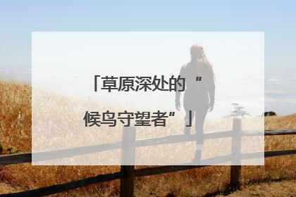 草原深处的“候鸟守望者”