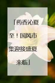 药香沁夏至！国风市集迎接盛夏来临