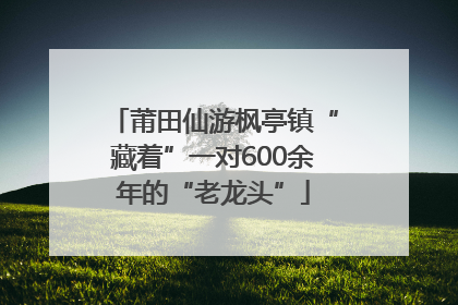 莆田仙游枫亭镇“藏着”一对600余年的“老龙头”