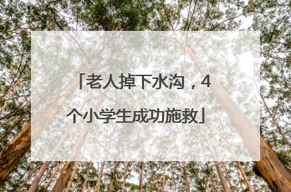 老人掉下水沟，4个小学生成功施救