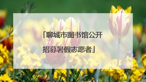 聊城市图书馆公开招募暑假志愿者
