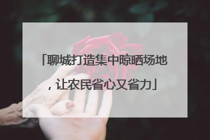 聊城打造集中晾晒场地，让农民省心又省力