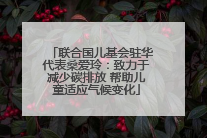 联合国儿基会驻华代表桑爱玲：致力于减少碳排放 帮助儿童适应气候变化