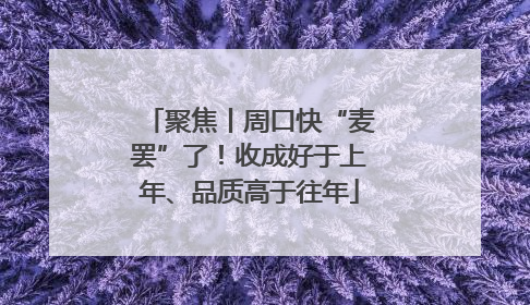 聚焦丨周口快“麦罢”了！收成好于上年、品质高于往年