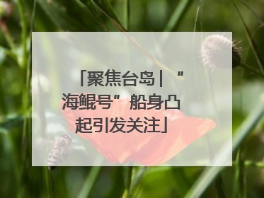 聚焦台岛│“海鲲号”船身凸起引发关注