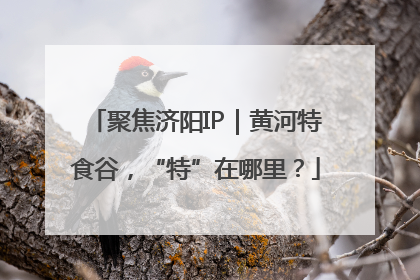 聚焦济阳IP｜黄河特食谷，“特”在哪里？
