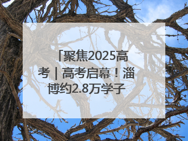 聚焦2025高考｜高考启幕！淄博约2.8万学子奔赴逐梦考场