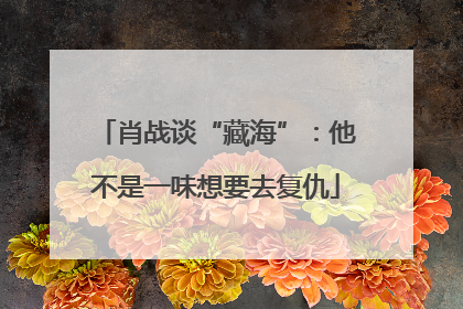 肖战谈“藏海”：他不是一味想要去复仇
