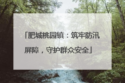 肥城桃园镇：筑牢防汛屏障，守护群众安全