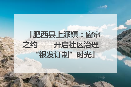 肥西县上派镇：窗帘之约——开启社区治理“银发订制”时光