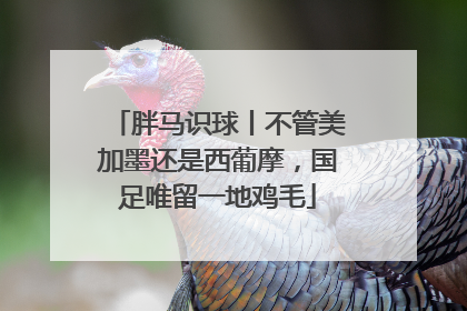 胖马识球丨不管美加墨还是西葡摩，国足唯留一地鸡毛