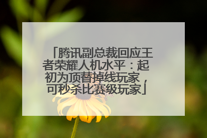 腾讯副总裁回应王者荣耀人机水平：起初为顶替掉线玩家，可秒杀比赛级玩家