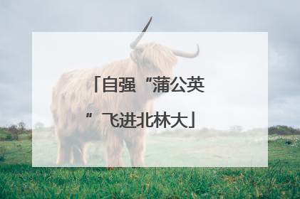 自强“蒲公英”飞进北林大