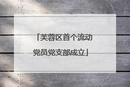 芙蓉区首个流动党员党支部成立