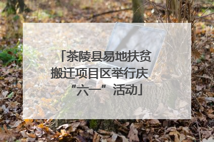茶陵县易地扶贫搬迁项目区举行庆“六一”活动