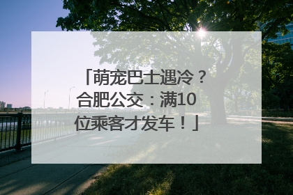 萌宠巴士遇冷？合肥公交：满10位乘客才发车！