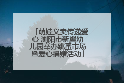 萌娃义卖传递爱心 浏阳市新翼幼儿园举办跳蚤市场暨爱心捐赠活动