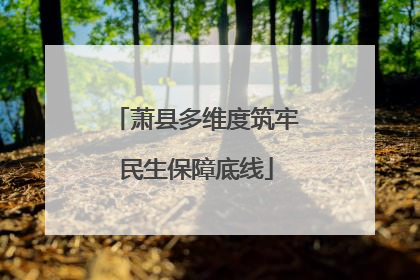 萧县多维度筑牢民生保障底线