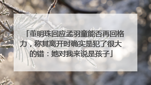 董明珠回应孟羽童能否再回格力，称其离开时确实是犯了很大的错：她对我来说是孩子