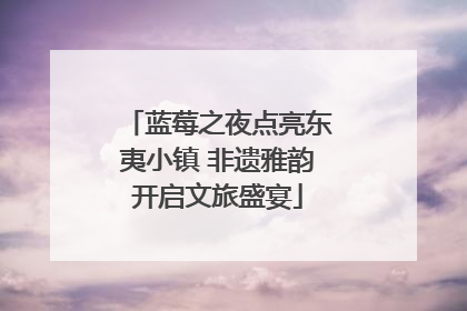 蓝莓之夜点亮东夷小镇 非遗雅韵开启文旅盛宴