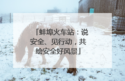 蚌埠火车站：说安全、见行动，共绘安全好风景