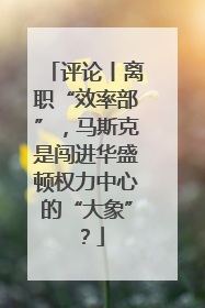 评论丨离职“效率部”，马斯克是闯进华盛顿权力中心的“大象”？