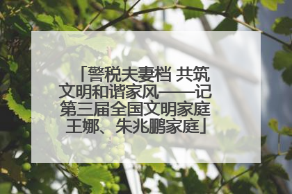 警税夫妻档 共筑文明和谐家风——记第三届全国文明家庭王娜、朱兆鹏家庭