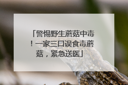 警惕野生蘑菇中毒！一家三口误食毒蘑菇，紧急送医