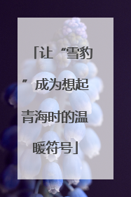 让“雪豹”成为想起青海时的温暖符号