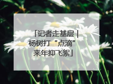 记者走基层｜杨树打“点滴” 来年抑飞絮
