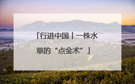 行进中国丨一株水草的“点金术”