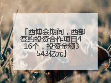 西博会期间，西部签约投资合作项目416个，投资金额3543亿元