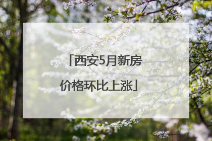 西安5月新房价格环比上涨