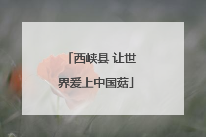 西峡县 让世界爱上中国菇