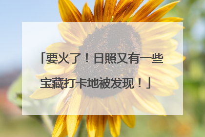 要火了！日照又有一些宝藏打卡地被发现！