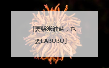 要柴米油盐，也要LABUBU