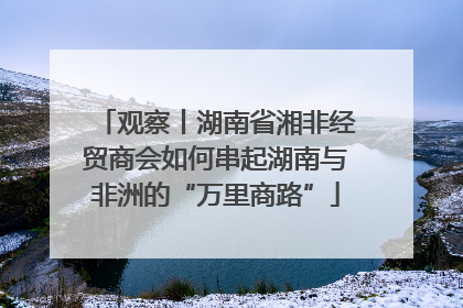 观察丨湖南省湘非经贸商会如何串起湖南与非洲的“万里商路”