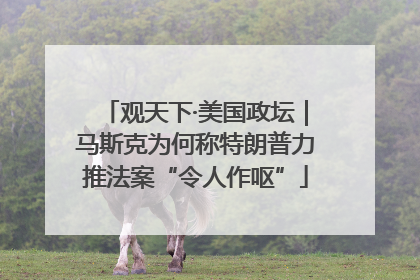 观天下·美国政坛｜马斯克为何称特朗普力推法案“令人作呕”